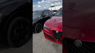 Which Stelvio Quadrifoglio are you driving⁉️ alfaromeo stelvio quadrifoglio suv italiancars [upl. by Fasto]