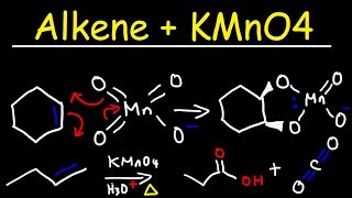 Alkene  KMnO4 Reaction [upl. by Georgeta]