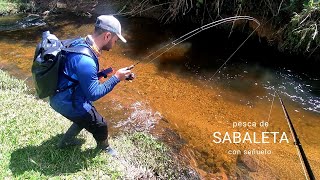 SPINNING FISHING  Pesca de Sabaleta SEÑUELOS CRANCKBAIT Brycon Fishing [upl. by Warfold]