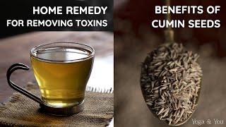 Home Remedy to Remove Toxins  Health Benefits Of Cumin  Jeera Water  Best Ways To Use Cumin [upl. by Ydde]