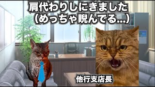 限界地銀で勃発する借り換え合戦【地方銀行】猫ミーム [upl. by Olegnaed]