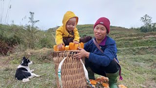 Bring the trees to plant and break the corn to feed the chickens [upl. by Biddy499]