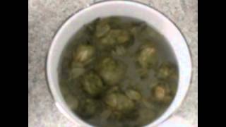 Hops Tea for Deep Sleep  Quick Tutorial [upl. by Aihc545]