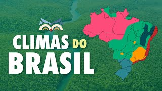 Climas do Brasil  Toda Matéria [upl. by Nilrah]