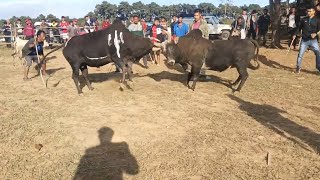 Shaktiman Chal vs Khynruid Sutnga mynchwa iadaw masi today iatur masi today [upl. by Lanaj]