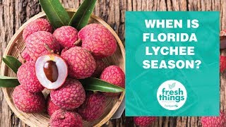 Fresh Things When is Florida Lychee Season [upl. by Eibloc246]