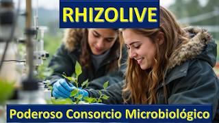 RHIZOLIVE Concepto aplicaciones y avances [upl. by Vedetta855]