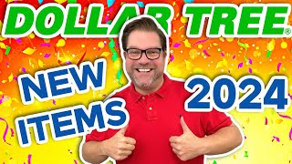 NEW Dollar Tree Haul 2024 New Years Gems on a Budget [upl. by Waldemar]