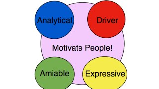 How to Motivate the 4 Personality Types  How to Speak The Secret Language of Personality Styles [upl. by Dnamron]