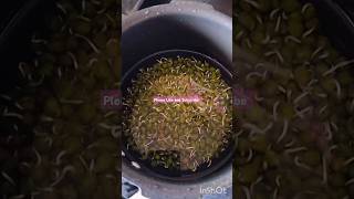 Green Chana sprouted recipe in description [upl. by Hadnama123]