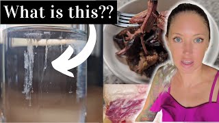 After 1 year of eating meat Im finally getting tested  Carnivore Diet [upl. by Jezreel296]