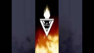 VNV Nation  Firstlight [upl. by Notled]