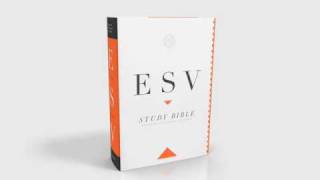 The ESV Study Bible A Look Inside [upl. by Lavoie674]