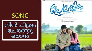 Nin Chithram Song  Prematheeram Movie  Shekhar Kammula  Naga Chaitanya  Sai Pallavi  Pawan CH [upl. by Elnore]