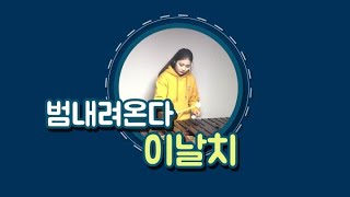 이날치Leenarchi  범 내려온다Tiger is coming cover 마림바marimba [upl. by Eegnat]