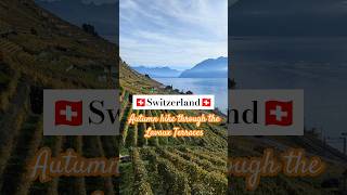 Lavaux Vineyards 🇨🇭 The BEST Hike in Autumn shorts travel lavaux switzerland [upl. by Ahsemrac]