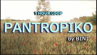 Pantropiko by BINI 1 HOUR LOOP [upl. by Lorn]