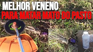 MELHOR VENENO para MATAR MATO no PASTO HERBICIDA no TOCO [upl. by Fabrin]