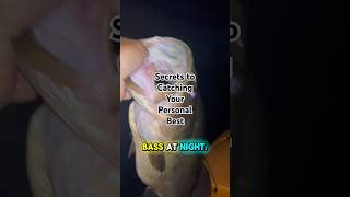 Secrets to Catching YOUR Personal BEST BASS at Night shorts fishing bass [upl. by Ahtaga]