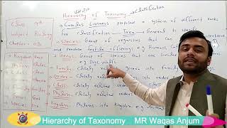 Hierarchy of Taxonomy  Biology  Lecture 3  Class 9th [upl. by Clarita871]