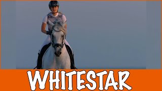 WHITESTAR  TO THE STARS Kimberly Fransens  PaardenpraatTV [upl. by Gnemgnok]