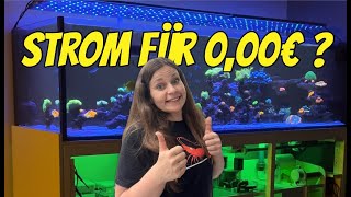 So SENKE ich meine ENERGIEKOSTEN 💸 für mein Meerwasseraquarium  Update Reeftank 1000 Liter Aquarium [upl. by Aislehc339]