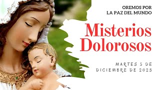 Rosario de Hoy MARTES 5 de DICIEMBRE  Misterios DOLOROSOS  Wilson Tamayo [upl. by Garceau]