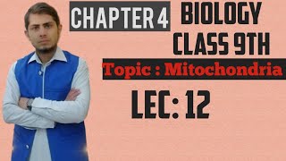 Mitochondria explained  Class  10th  Chp  4 Lec  12 [upl. by Igig121]