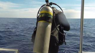 USS Oriskany CV34 SCUBA Wreck Dive [upl. by Sukey]