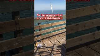 short happy to catch fishes like this fishing capitola [upl. by Kcor]