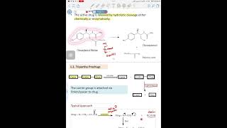 Organic chemistry Lec 2 part 2  Prodrug of functional groups [upl. by Otina]