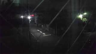 LIVE CAM M97 sights japanesepark intersection japan livestream streaming webcam venturesfan [upl. by Teodoor571]