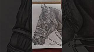 Horse drawing quot Sketch sketch shorts trending viral art [upl. by Aeki]