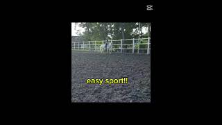 Easy sporthorse [upl. by Marilyn]