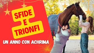 ✨ UN ANNO DI SFIDE A CAVALLO ✨ Tra Cadute e Trionfi 🐴 [upl. by Caye]