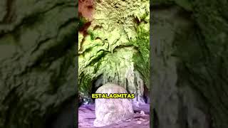 Explora la Magia de las Cavernas del Río Camuy cavernas viajes turismo maravillas paisajes [upl. by Afas12]