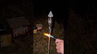 Silberschweif Rakete 🚀 fajerwerki fypシ゚viral feuerwerk vuurwerk fyp 2024 [upl. by Pius847]