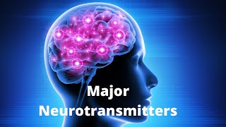 What Are the 7 Major Neurotransmitters and Their Role in Diseases [upl. by Kho]