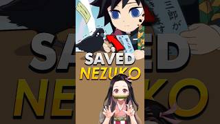 Giyu Crow Saved Nezuko demonslayer giyuutomioka [upl. by Nylahs]