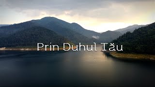 Prin Duhul Tău  Inima Închinării Official Lyric Video [upl. by Hanny]