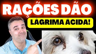 RAÇÕES DÃO LÁGRIMA ÁCIDA 👉 Como RESOLVER  Cães e gatos [upl. by Eannej716]