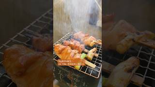 Yakitori on the Hibachi Grill 🍢🔥 Japanese Grilled Chicken homemade mealinspo 🚋 [upl. by Aiyekal]