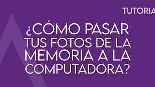 ¿Cómo pasar tus fotos de la memoria SD a la computadora [upl. by Akemeuwkuhc]