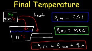 How To Calculate Calories From Carbohydrates Carbs  Fiber And Sugar Alcohols Explained [upl. by Selry]