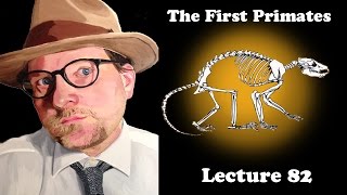 Lecture 82 The First Primates [upl. by Richart]