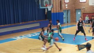 2017 Boys Wheelchair Classic Final LI vs Manhattan Bronx [upl. by Anse616]