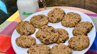 GALLETAS SALUDABLES DE AVENA Y CHOCOLATE Facil Vegano y Delicioso [upl. by Wager]