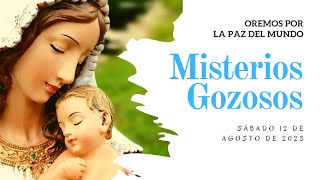 Rosario de Hoy SÁBADO 12 de AGOSTO  Misterios GOZOSOS  Wilson Tamayo [upl. by Matejka]