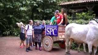 SPC Study Abroad Costa Rica 2013 [upl. by Melak277]