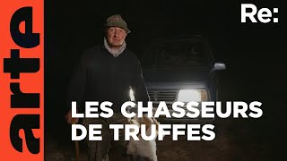 La très convoitée truffe du Piémont  ARTE Regards [upl. by Olinad]